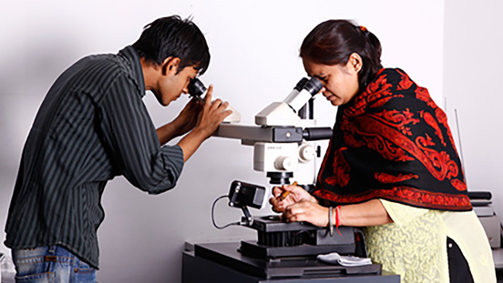 Students explore the mysteries revealed under the microscope.